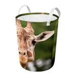 Funny Giraffe Print Round Laundry Basket