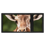 Funny Giraffe Print Trifold Wallet