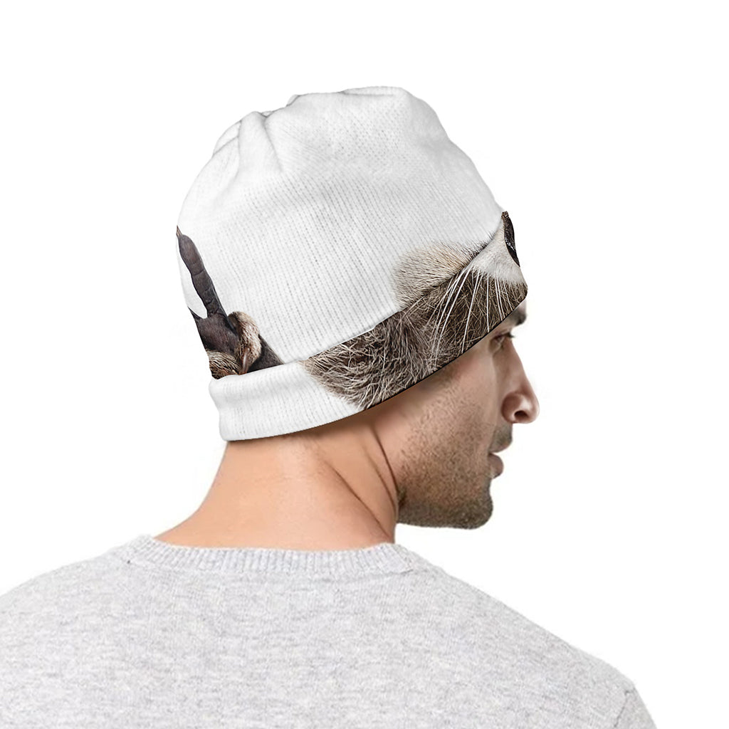 Funny Raccoon Print Beanie