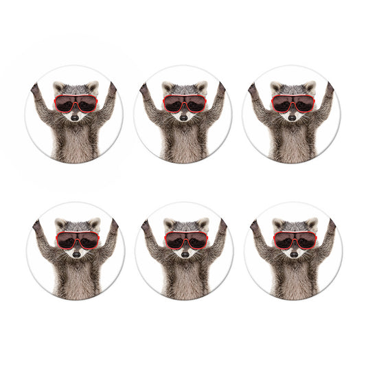 Funny Raccoon Print Coaster Set