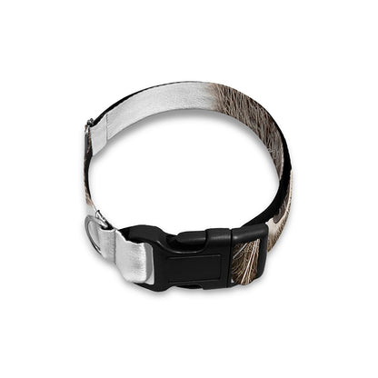Funny Raccoon Print Dog Collar