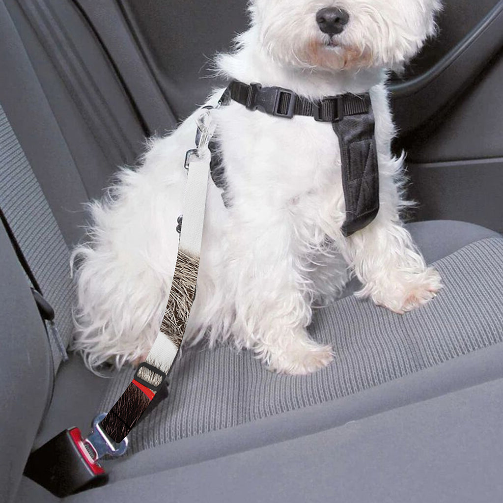 Funny Raccoon Print Dog Seat Belt