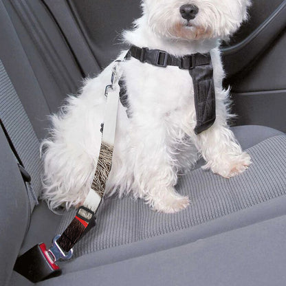 Funny Raccoon Print Dog Seat Belt