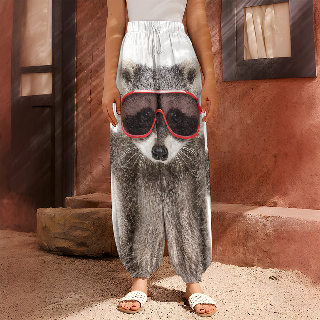 Funny Raccoon Print Harem Pants