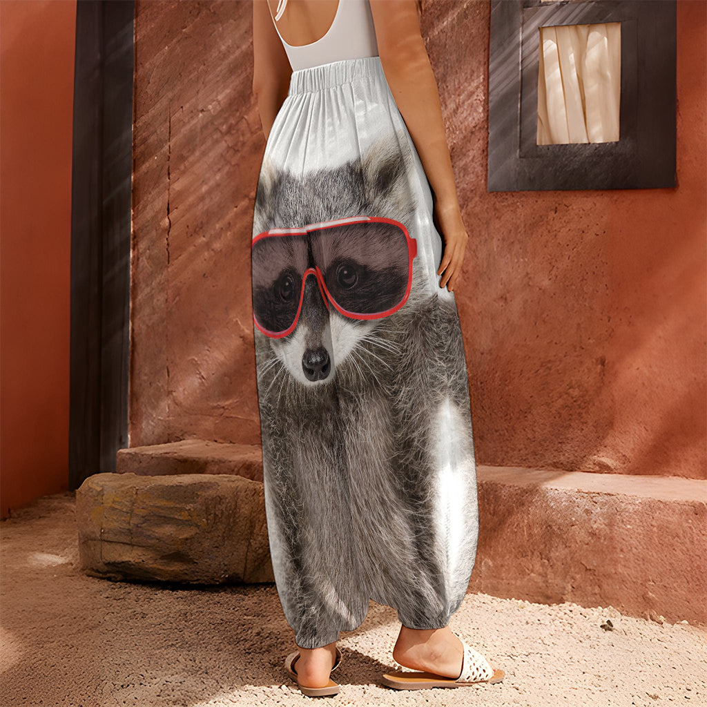 Funny Raccoon Print Harem Pants