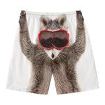 Funny Raccoon Print Men's Swim Trunks