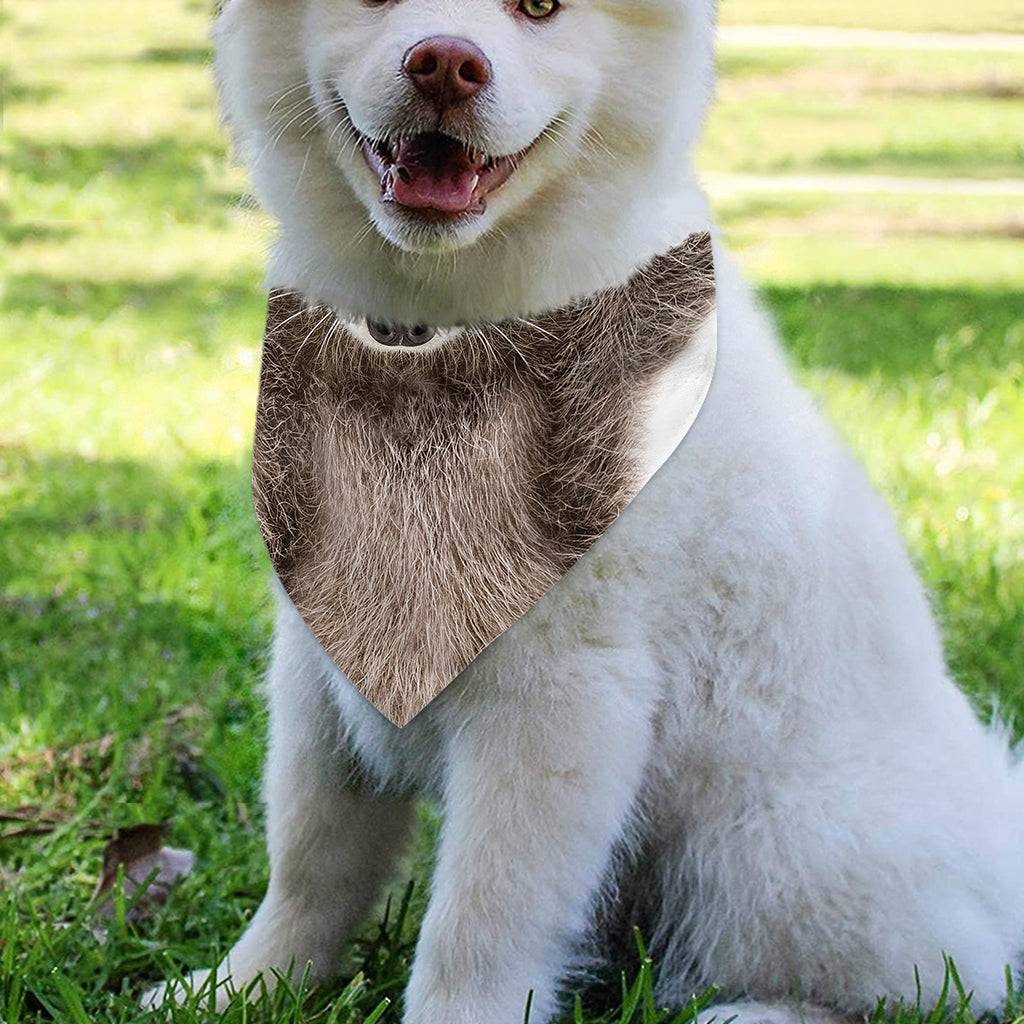 Funny Raccoon Print Over The Collar Dog Bandana