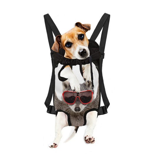 Funny Raccoon Print Pet Carrier Backpack
