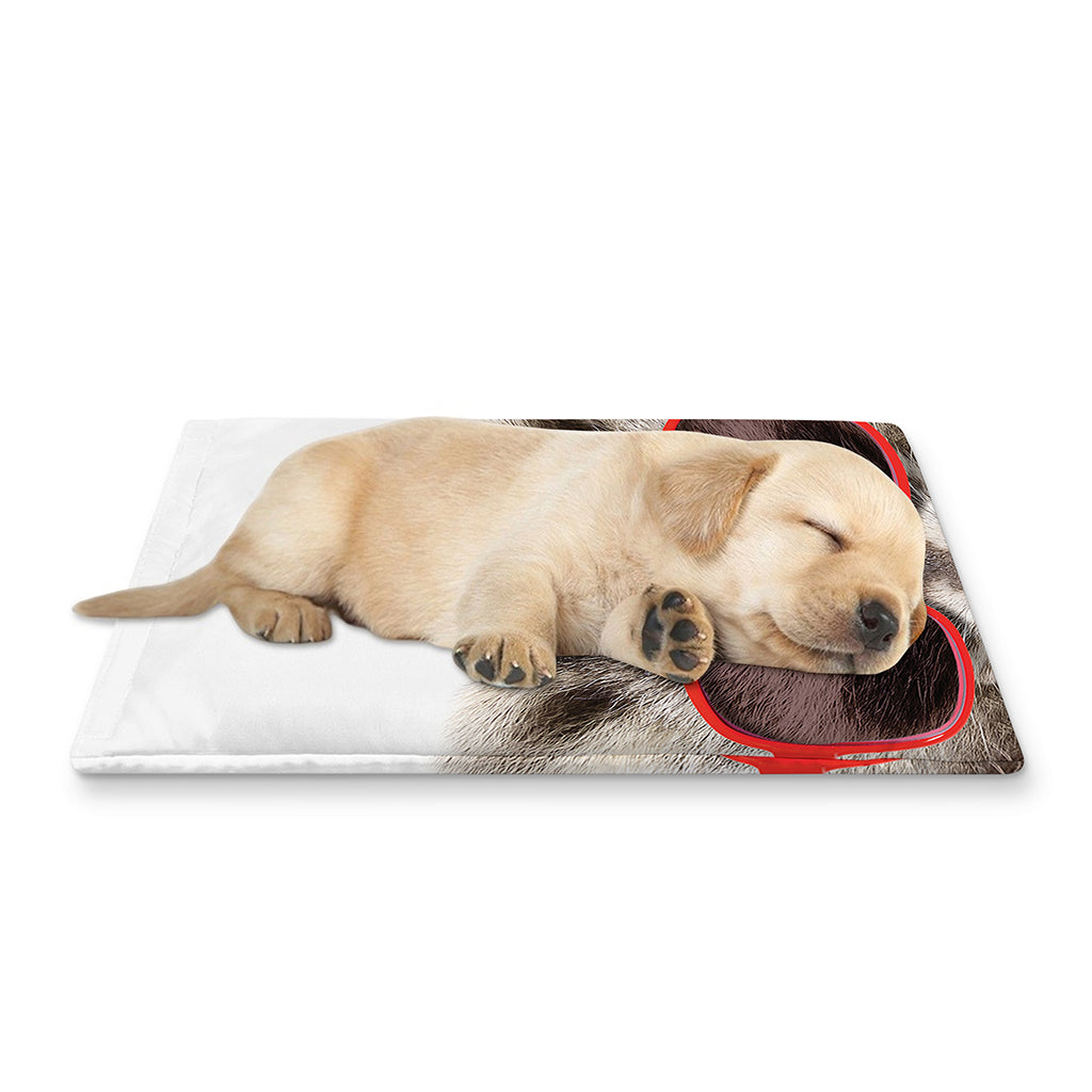 Funny Raccoon Print Pet Cooling Mat Cover