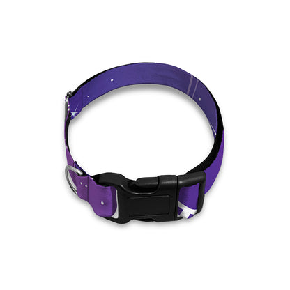 Galaxy Eye of Providence Print Dog Collar