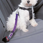 Galaxy Eye of Providence Print Dog Seat Belt