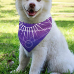 Galaxy Eye of Providence Print Over The Collar Dog Bandana