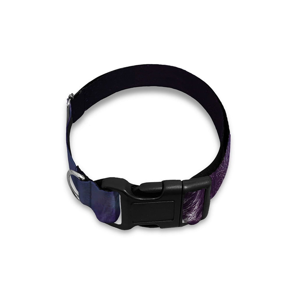 Galaxy Jaguar Print Dog Collar