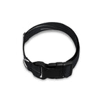 Galaxy Lightspeed Print Dog Collar