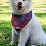 Galaxy Lunar Phase Print Over The Collar Dog Bandana