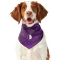 Galaxy Moon Phase Print Dog Bandana