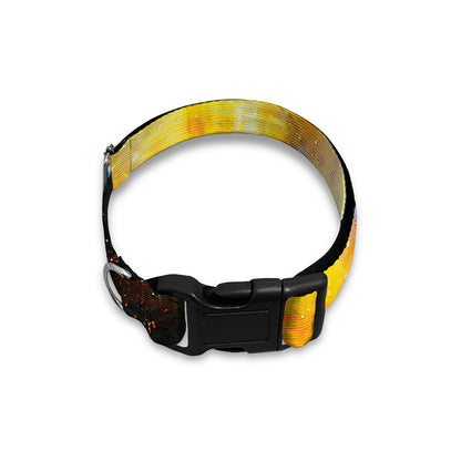 Galaxy Native Indian Woman Print Dog Collar