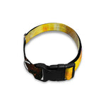 Galaxy Native Indian Woman Print Dog Collar