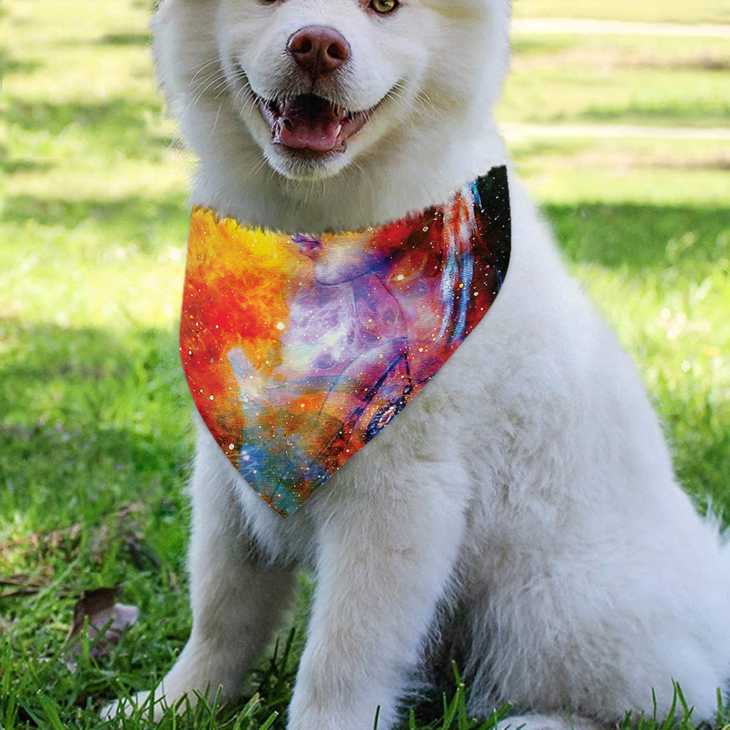 Galaxy Native Indian Woman Print Over The Collar Dog Bandana