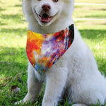 Galaxy Native Indian Woman Print Over The Collar Dog Bandana