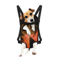 Galaxy Pyramid Print Pet Carrier Backpack