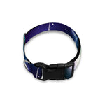 Galaxy Zodiac Wheel Print Dog Collar