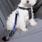 Galaxy Zodiac Wheel Print Dog Seat Belt