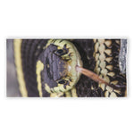 Garter Snake Print Beach Towel