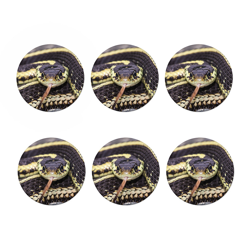 Garter Snake Print Coaster Set