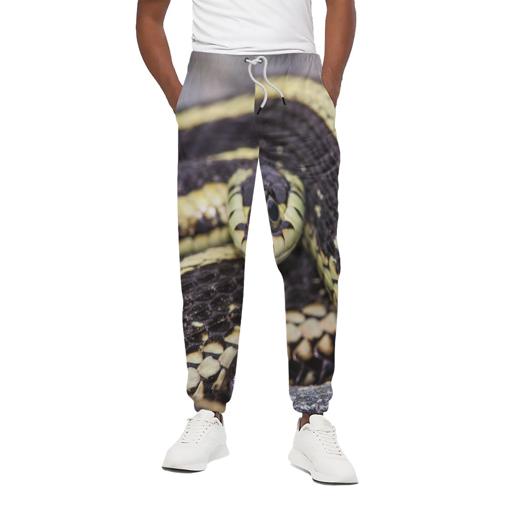 Garter Snake Print Cotton Pants