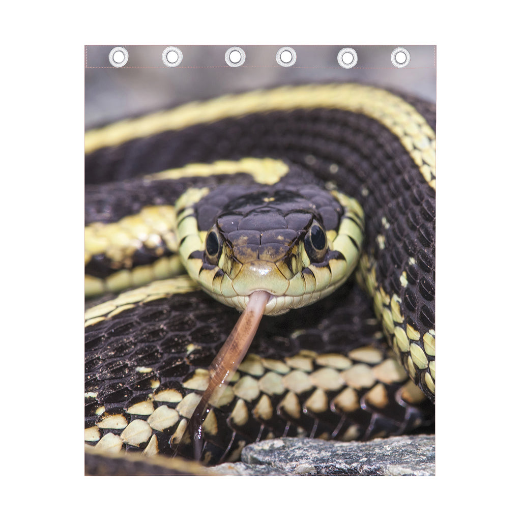 Garter Snake Print Curtain