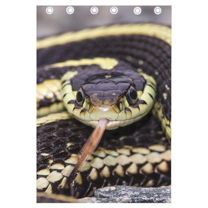 Garter Snake Print Curtain