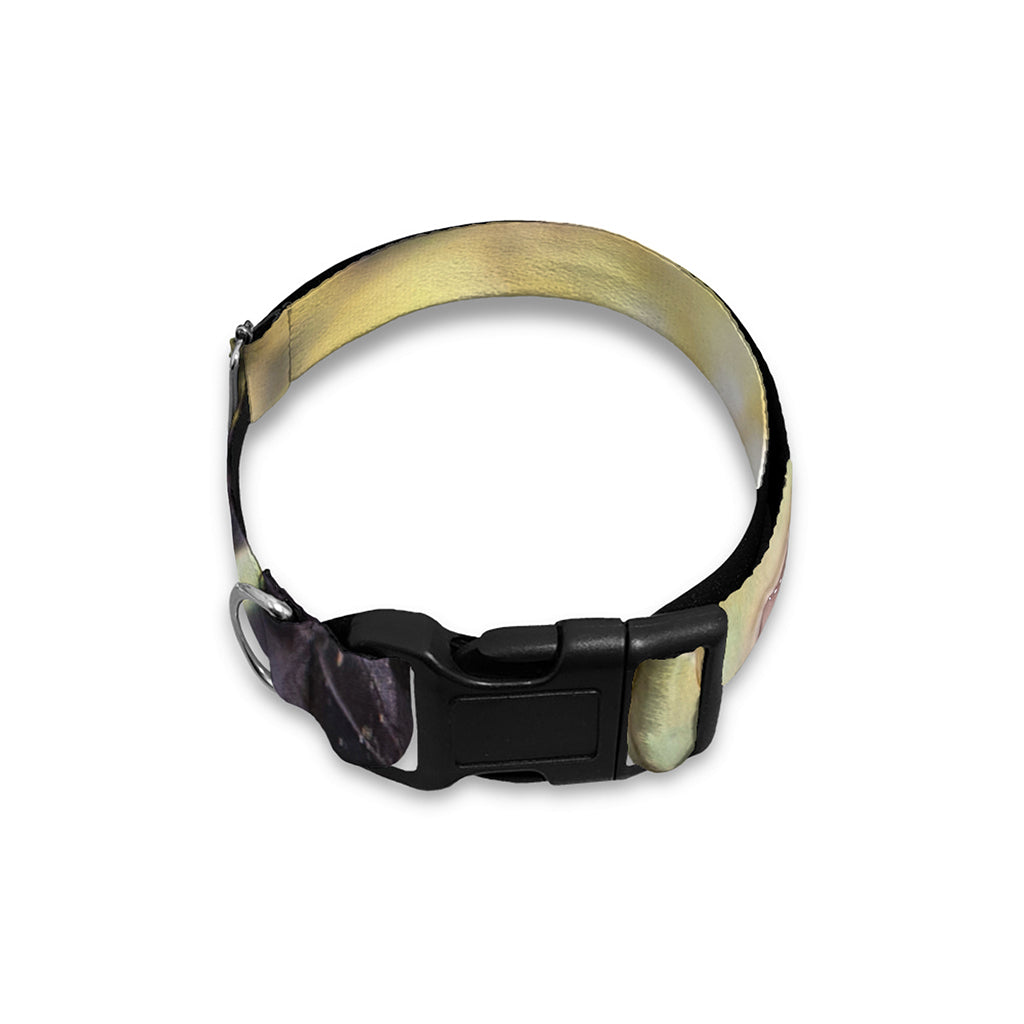 Garter Snake Print Dog Collar