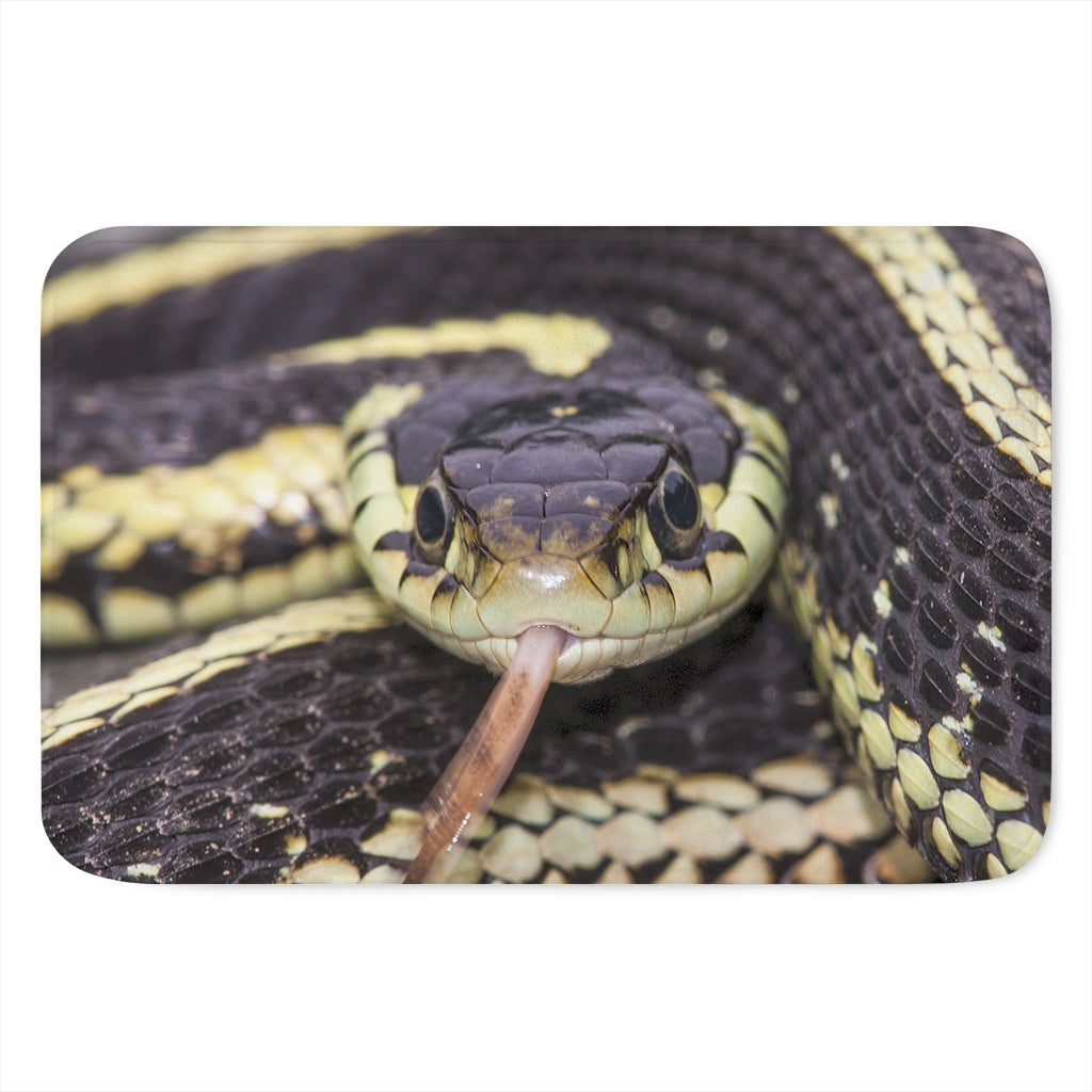 Garter Snake Print Indoor Door Mat