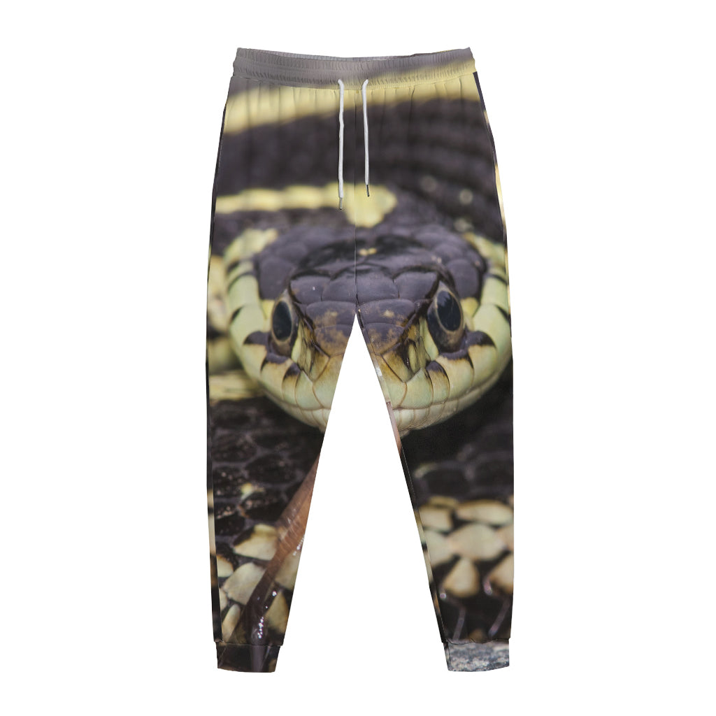 Garter Snake Print Jogger Pants