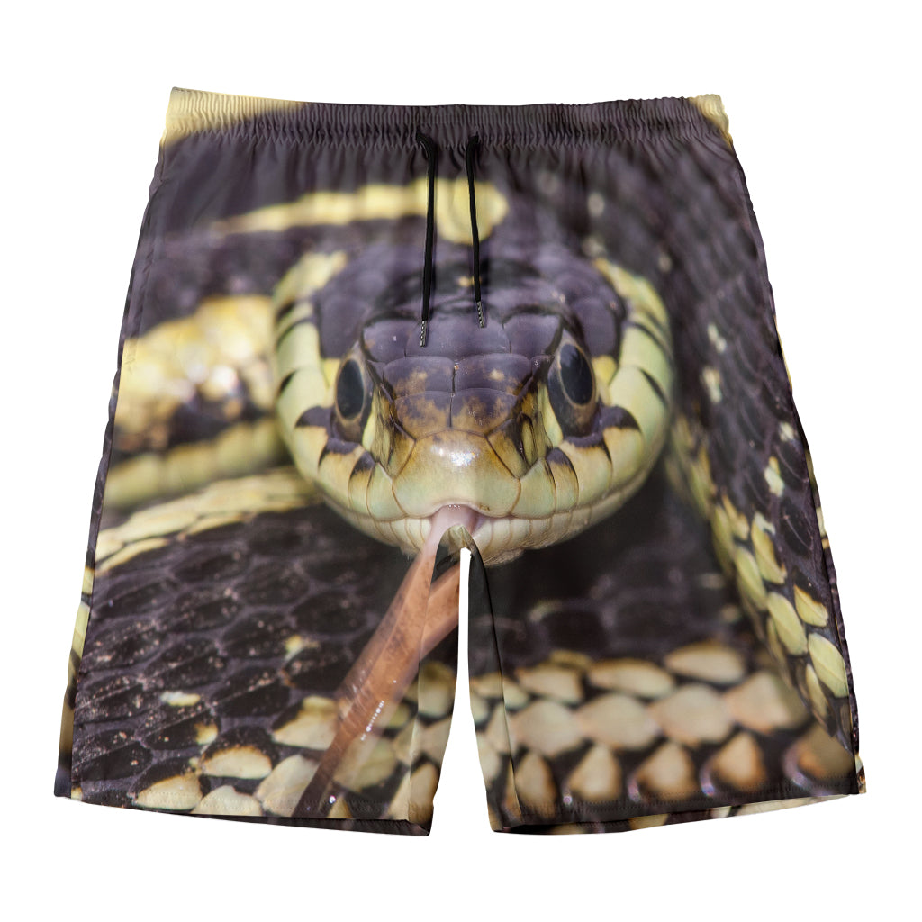 Garter Snake Print Men's Swim Trunks