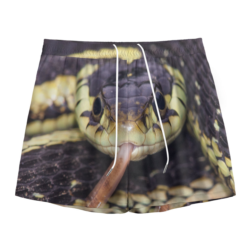 Garter Snake Print Mesh Shorts