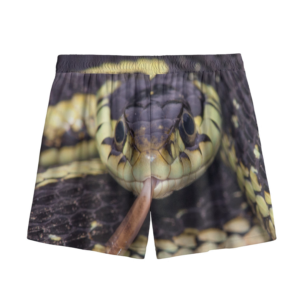 Garter Snake Print Mesh Shorts
