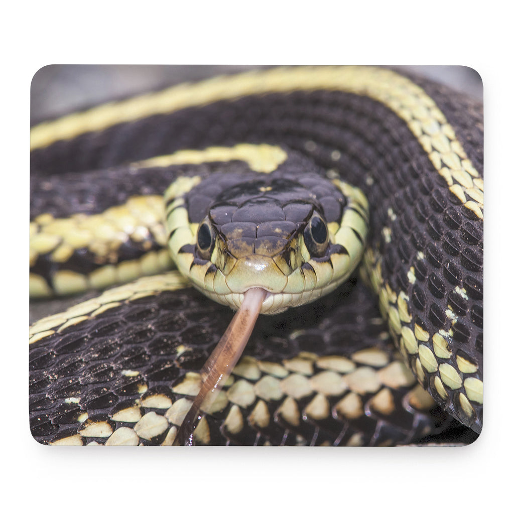 Garter Snake Print Mouse Pad