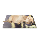 Garter Snake Print Pet Cooling Mat Cover