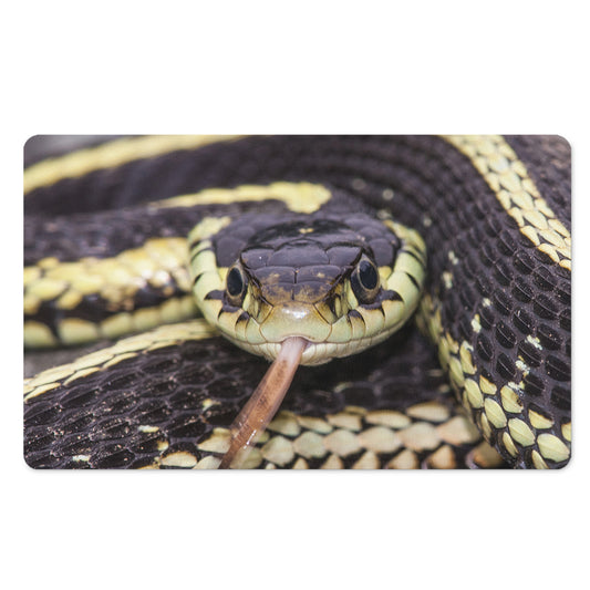 Garter Snake Print Polyester Doormat