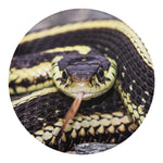 Garter Snake Print Round Blanket