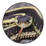 Garter Snake Print Round Floor Mat