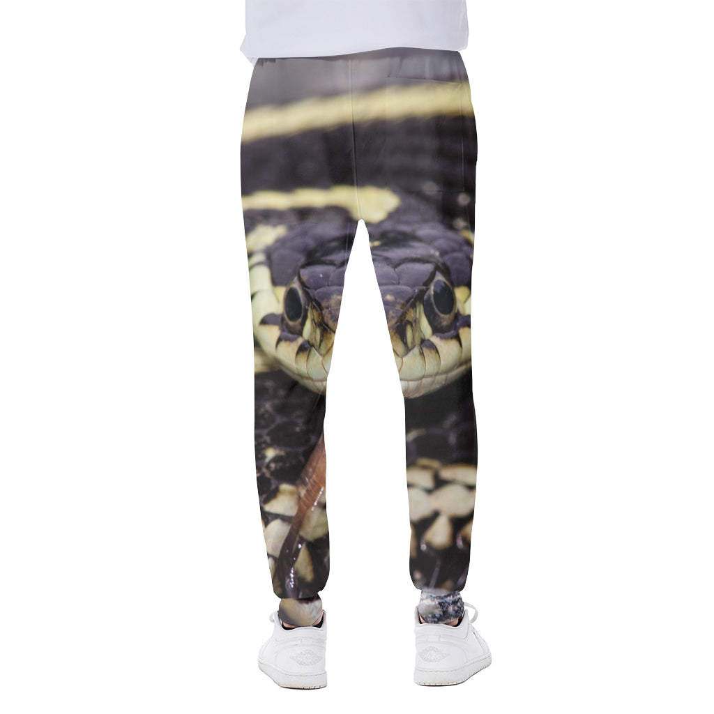 Garter Snake Print Scuba Joggers