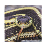 Garter Snake Print Silk Bandana