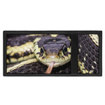 Garter Snake Print Trifold Wallet