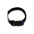 Gemini And Astrological Signs Print Dog Collar