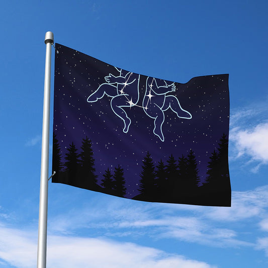Gemini Constellation Print Polyester Flag
