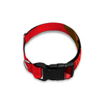 Geometric Bull Skull Print Dog Collar