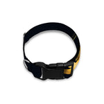 Geometric Eye of Providence Print Dog Collar